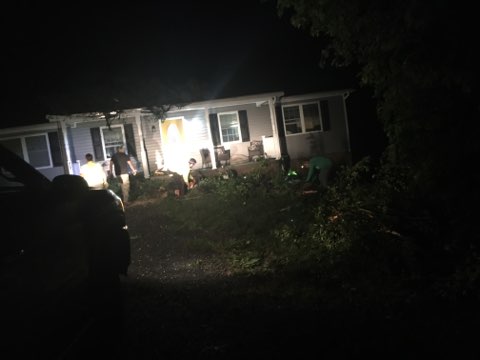  Tree Removal