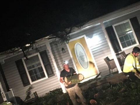  Tree Removal