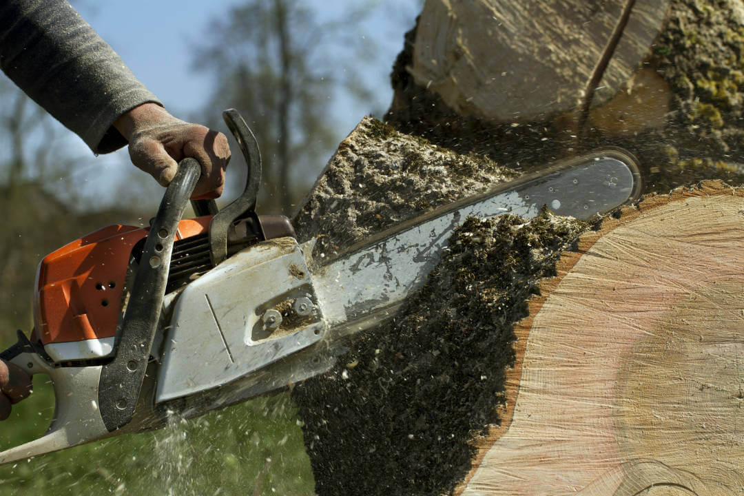 Stump Grinding